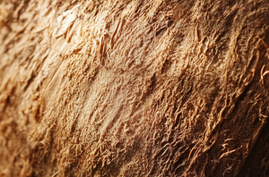 Bois de coco