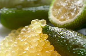 Citron caviar