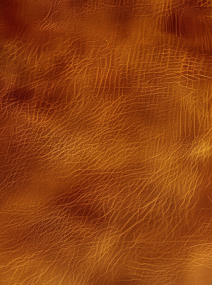 Cuir Vanillé