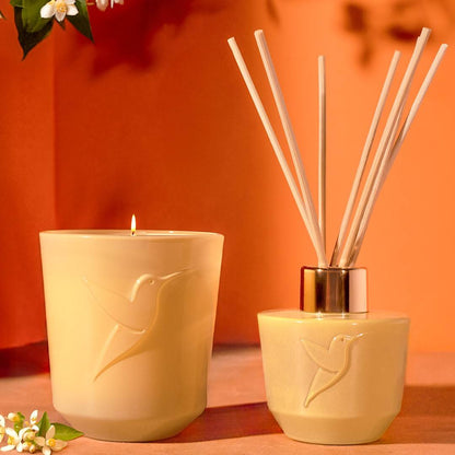 Fleur d'Oranger Royale Diffuseur
