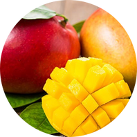 Mangue