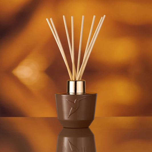 Nuit interdite Diffuseur