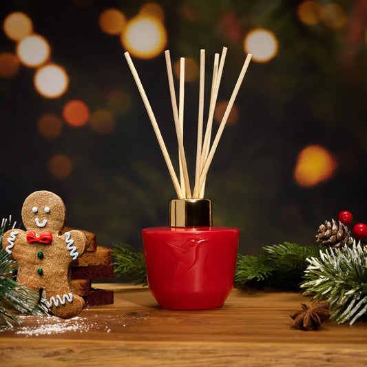 Pain d'épices Diffuseur 100 ml