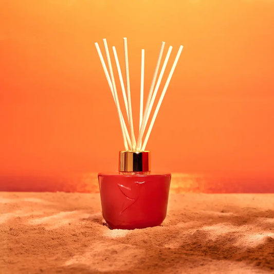 Soleil Sacré Diffuseur 100ml