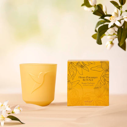 Fleur d'Oranger Royale Bougie parfumée